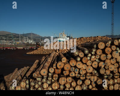 Stapel der industriellen Bauholz und Boote durch den Hafen, Lyttleton, Neuseeland Stockfoto