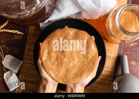 Scoby mit Kombucha Tee beliebte fermentiert gesunden Drink natural high Probiotika. Stockfoto