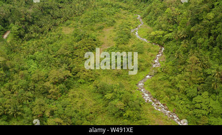 River im Regenwald durch den grünen Dschungel mit grünem Wald und Palmen Luftaufnahme abgedeckt. Fluss im grünen Wald. Camiguin, Philippinen. Stockfoto
