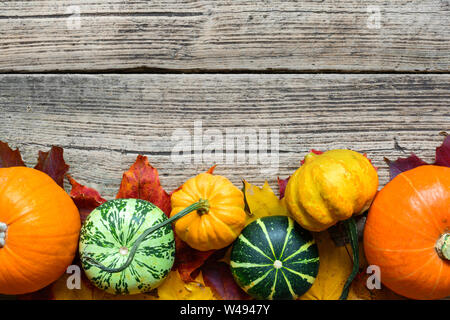 Thanksgiving Herbst Hintergrund mit Geernteten Kürbisse, Äpfel, Nüsse und Ahornblätter auf rustikalen Holztisch. Ansicht von oben mit der Kopie Raum Stockfoto