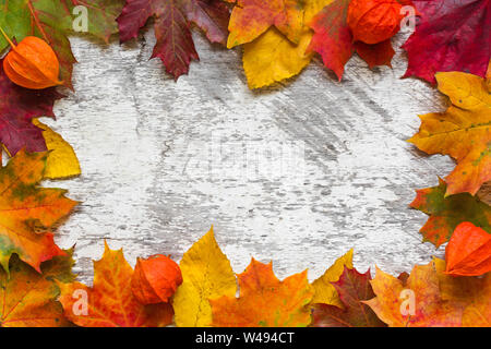 Rahmen aus bunten Blätter im Herbst mit physalis Blumen auf weißem Holz- Hintergrund. Ansicht von oben mit der Kopie Raum Stockfoto