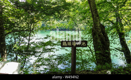 Juniko zwölf Seen in der Shirakami-Sanchi Bergregion. Weltkulturerbe der UNESCO in der Region Tohoku. Präfektur Aomori, Japan Stockfoto