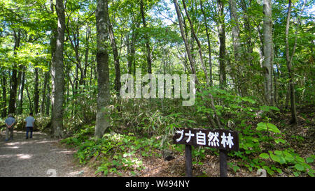 Juniko zwölf Seen in der Shirakami-Sanchi Bergregion. Weltkulturerbe der UNESCO in der Region Tohoku. Präfektur Aomori, Japan Stockfoto