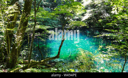 Juniko zwölf Seen in der Shirakami-Sanchi Bergregion. Weltkulturerbe der UNESCO in der Region Tohoku. Präfektur Aomori, Japan Stockfoto