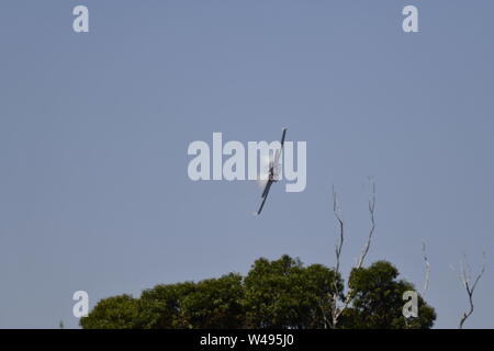 McDonnell Douglas F/A-18 Hornet Kampfjet-RAAF Royal Australian Air Force Stockfoto