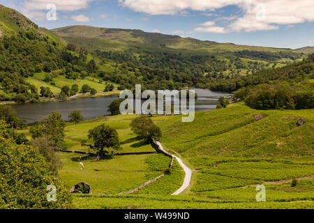 Rydal Wasser Grasmere auf der Suche nach niedrigen Hecht Stockfoto