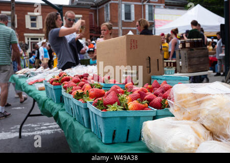 Die jährlichen Strawberry Festival in Owego, New York, einer kleinen Stadt etwa 250 Meilen nordwestlich von New York City, im Juni 2019. Stockfoto