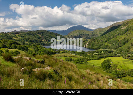 Llyn Gwynant mit Moel Hebog über Stockfoto