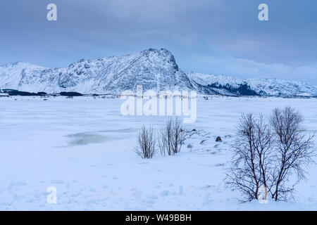 Gefrorene Ytterpollen, Bøstad, Vestvågøy, Nordland, Norwegen, Europa Stockfoto