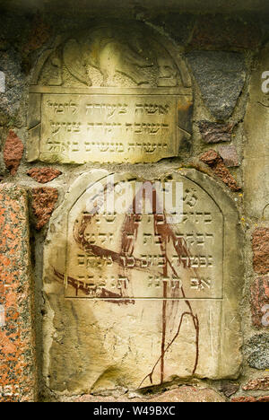 Der alte jüdische Friedhof in Suwalki, Polen. 5. Juli 2009 © wojciech Strozyk/Alamy Stock Foto Stockfoto