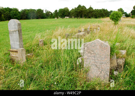 Der alte jüdische Friedhof in Suwalki, Polen. 5. Juli 2009 © wojciech Strozyk/Alamy Stock Foto Stockfoto