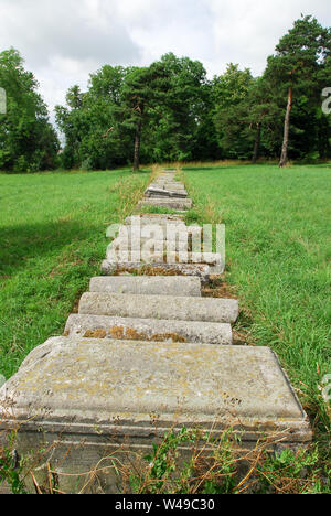 Der alte jüdische Friedhof in Suwalki, Polen. 5. Juli 2009 © wojciech Strozyk/Alamy Stock Foto Stockfoto