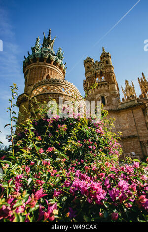 Blüte Bougainvillea vor einem Schloss Stockfoto