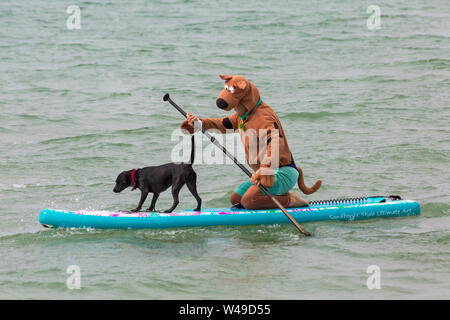 Branksome Dene Chine, Poole, Dorset, Großbritannien. Juli 2019 21. Nach dem Erfolg der letzten Jahre UKs ersten Hund Surfen Meisterschaften, von Shaka Surf organisiert, in Branksome Dene Chine Beach, die Veranstaltung ist für das zweite Jahr mit noch mehr Hunde nehmen teil und Surfen und paddleboarding auf ihren Brettern statt. Massen an und drehen Sie die Spaß an einem windigen Tag die Bedingungen schwieriger zu beobachten. Harper, Patterdale Labrador cross Hund, und Scooby Doo surfen gehen. Hund surfen mit Besitzer - auf Surfboard paddleboard. Credit: Carolyn Jenkins/Alamy leben Nachrichten Stockfoto