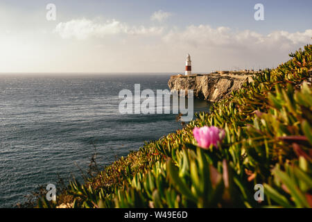 Leuchtturm auf Felsen im Hintergrund neben dem Meer Stockfoto