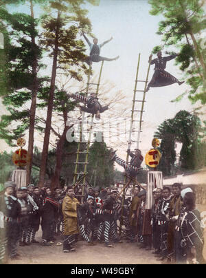 [1890s Japan - Japanische Feuerwehrmänner, die Akrobatik] - Feuerwehrmänner in happi Mäntel durchführen akrobatischen Stunts auf Bambus Leitern. Die Leiter Stunts waren die wichtigsten Ereignis der Japanischen ins neue Jahr feiern. Die Demonstrationen, die sogenannten Dezome-shiki, waren dazu gedacht, die Menschen auf die Gefahren des Feuers zu warnen und die Flexibilität und den Mut der Feuerwehrleute zu demonstrieren. 19 Vintage albumen Foto. Stockfoto