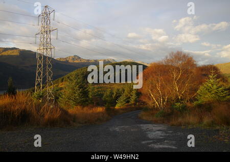 Der Loch Lomond und Cowal Weg. Halbinsel Cowal. Hochland. Schottland. Großbritannien Stockfoto