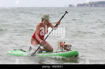 Poole, Großbritannien. Juli 2019 21. Wasser liebevolle Hündchen und ihre Besitzer konkurrieren in Großbritannien Hund Surfen Meisterschaften aus branksome Dene Chine Beach in Poole, Dorset, Großbritannien. Credit: Richard Knick/Alamy leben Nachrichten Stockfoto