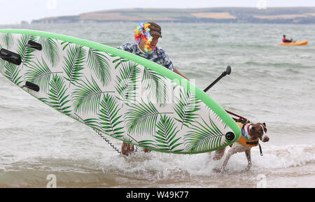 Poole, Großbritannien. Juli 2019 21. Wasser liebevolle Hündchen und ihre Besitzer konkurrieren in Großbritannien Hund Surfen Meisterschaften aus branksome Dene Chine Beach in Poole, Dorset, Großbritannien. Credit: Richard Knick/Alamy leben Nachrichten Stockfoto