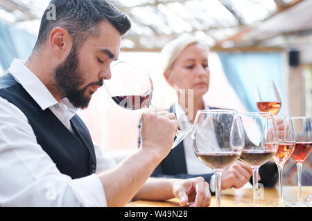 Junge Weingut coinnasseur riechen Rotwein in einem bokals Stockfoto