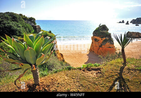 Malerischer Blick auf Strand Dona Ana in Lagos, Algarve, Portugal Stockfoto