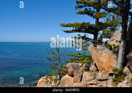 Hoop Pines und Granit Felsen aus dem Gabul So erhöhten Wanderweg von Nelly Bay an Geoffrey Bay, Magnetic Island, Queensland, Australien. Stockfoto