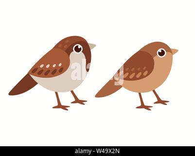 Gemeinsame Haussperling Paar, männlich und weiblich. Kleine Vögel in cute Cartoon Stil. Isolierte vector clip art Illustration. Stock Vektor