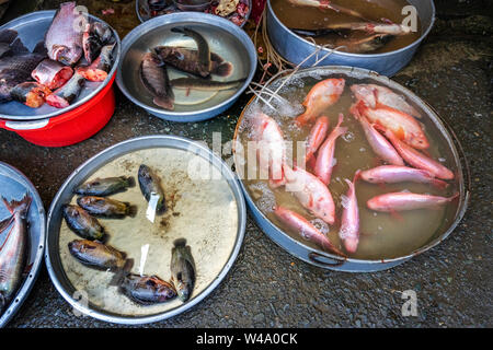 Anzeigen von Can Tho, Mekong Delta, Vietnam, mit Gemüse und Fisch. Stockfoto