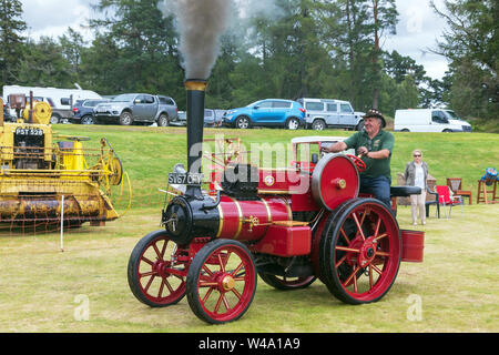 Grantown Ost, Großbritannien. 21. Juli 2019. Der erste Dampf gehalten in Grantown Ost, Morayshire, Großbritannien beliebte mit einer Dampfmaschine und Oldtimer Enthusiasten als auch Zuschauer. Bild von DAVIE ADAM auf seinem 1 Zoll 2017 Nachbau eines Roten Tasker Little Giant Typ A 2 Dampfmaschine Credit: Findlay/Alamy leben Nachrichten Stockfoto