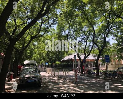 Peking, China. 13. Mai, 2019. Foto mit einem Handy aufgenommen zeigt Landschaften auf Tonglinge Straße in Peking, der Hauptstadt von China, 13. Mai 2019. Credit: Zhu Weixi/Xinhua/Alamy leben Nachrichten Stockfoto