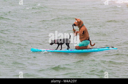 Branksome Dene Chine, Poole, Dorset, Großbritannien. Juli 2019 21. Nach dem Erfolg der letzten Jahre UKs ersten Hund Surfen Meisterschaften, von Shaka Surf organisiert, in Branksome Dene Chine Beach, die Veranstaltung ist für das zweite Jahr mit noch mehr Hunde nehmen teil und Surfen und paddleboarding auf ihren Brettern statt. Massen an und drehen Sie die Spaß an einem windigen Tag die Bedingungen schwieriger zu beobachten. Harper, Patterdale Labrador cross Hund, und Scooby Doo surfen gehen. Hund surfen mit Besitzer - auf Surfboard paddleboard. Credit: Carolyn Jenkins/Alamy leben Nachrichten Stockfoto