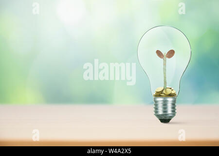 Sparschwein auf Geld schritt Stapel wachsen Wachstum Geld sparen, Konzept finanzielle Investitionen der Unternehmen. Stockfoto