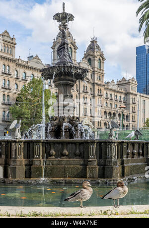 Paar Enten auf dem Gordon Brunnen, in der Nähe der Parlamentsgebäude in Melbourne, Australien Stockfoto