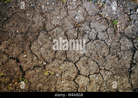 Trockenen heißen Sommer geknackt. Wüstenklima. Stockfoto