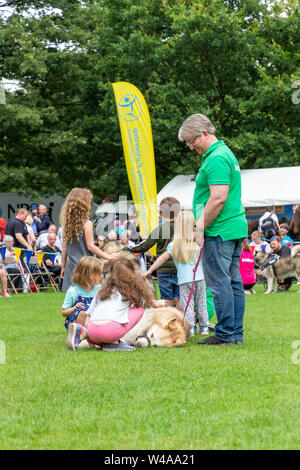 REACH-Sled Dog rescue Spaziergang ihre Tiere rund um die Arena an der Behinderung Bewußtsein Tag Veranstaltung in Walton Hall und Gärten Stockfoto