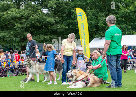 REACH-Sled Dog rescue Spaziergang ihre Tiere rund um die Arena an der Behinderung Bewußtsein Tag Veranstaltung in Walton Hall und Gärten Stockfoto