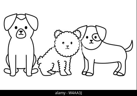 Kleine Hunde adorables Maskottchen zeichen Vector Illustration Design Stock Vektor