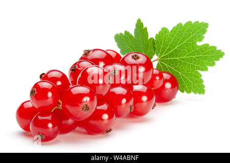 Rote Johannisbeere Beeren mit Blatt auf dem weißen Hintergrund isoliert, clipping path enthalten. Stockfoto