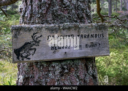 Von Mikel Utsi Zeichen Warnung über Rentiere Stiere im Cairngorms Nationalpark, Schottland, Großbritannien. Stockfoto