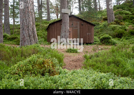 Die Hütte von schwedischen Rentierzüchter Mikel Utsi gebaut für Schutz, während seine Herde im Cairngorms Nationalpark, Schottland, Großbritannien. Stockfoto