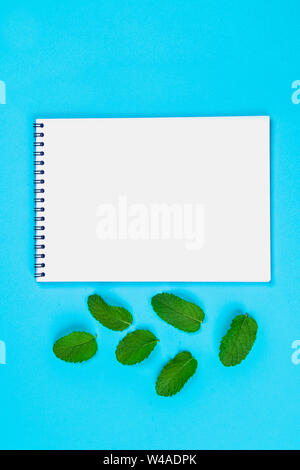 Ein leeres Notebook mit einem blauen Griff und Minze auf einem blauen Pastellfarben Hintergrund. Mock-up, Rahmen, Vorlage Stockfoto