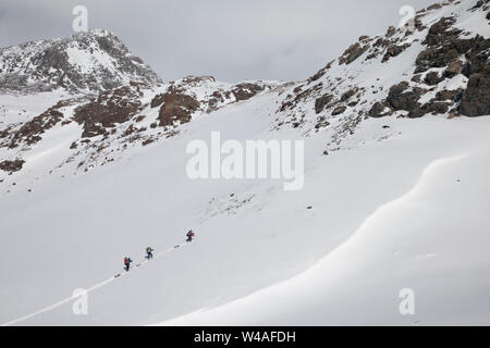 Wandern Ski Tour Kletterer in Altay hohe Berge. Sibirien. Russland. Stockfoto