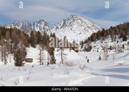 Wandern Ski Tour Kletterer in Altay hohe Berge. Sibirien. Russland. Stockfoto