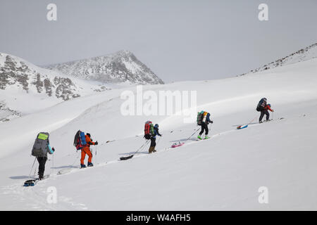 Wandern Ski Tour Kletterer in Altay hohe Berge. Sibirien. Russland. Stockfoto