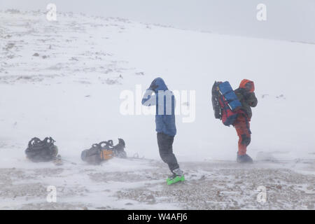 Schneesturm. Wandern Ski Tour Kletterer in Altay hohe Berge. Sibirien. Russland. Stockfoto