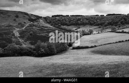 Die North York Moors tief in die Bohrung des Horcum mit Blick auf die geologischen Depression im Sommer, Goathland, Yorkshire, Großbritannien. Stockfoto