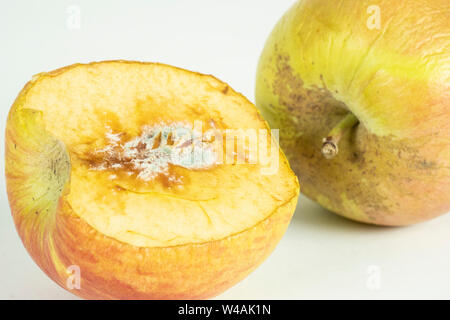 Faulen Apfel auf weißem in der Ansicht von oben. Apple beißen Faulen stechen. Stockfoto