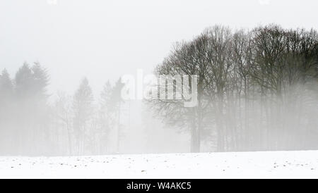 Panorama der Wald Landschaft im Winter mit Schnee bedeckt Feld Stockfoto
