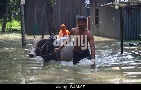 Tangail, Bangladesch. 21. Juli, 2019. Eine Familie nehmen ihre Stier, Tierheim, nachdem ihr Haus von Überschwemmungen in Tangail betroffen. Über millionen Menschen durch Überschwemmungen durch den Monsun Regen und ausufernden Fluss im Norden, Nordosten und hügeligen Regionen in Bangladesch ausgelöst betroffen. Bild: Sultan Mahmud Mukut/SOPA Images/ZUMA Draht/Alamy leben Nachrichten Stockfoto