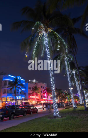 Weihnachtsbeleuchtung AUF PALMEN HOTELS OCEAN DRIVE LUMMUS PARK SOUTH BEACH MIAMI BEACH FLORIDA USA Stockfoto